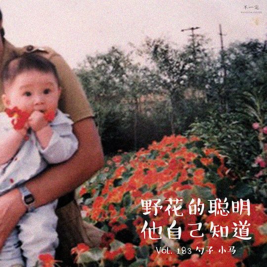 Vol. 183 野花的聪明他自己知道 Vol. 183 野花的聪明他自己知道