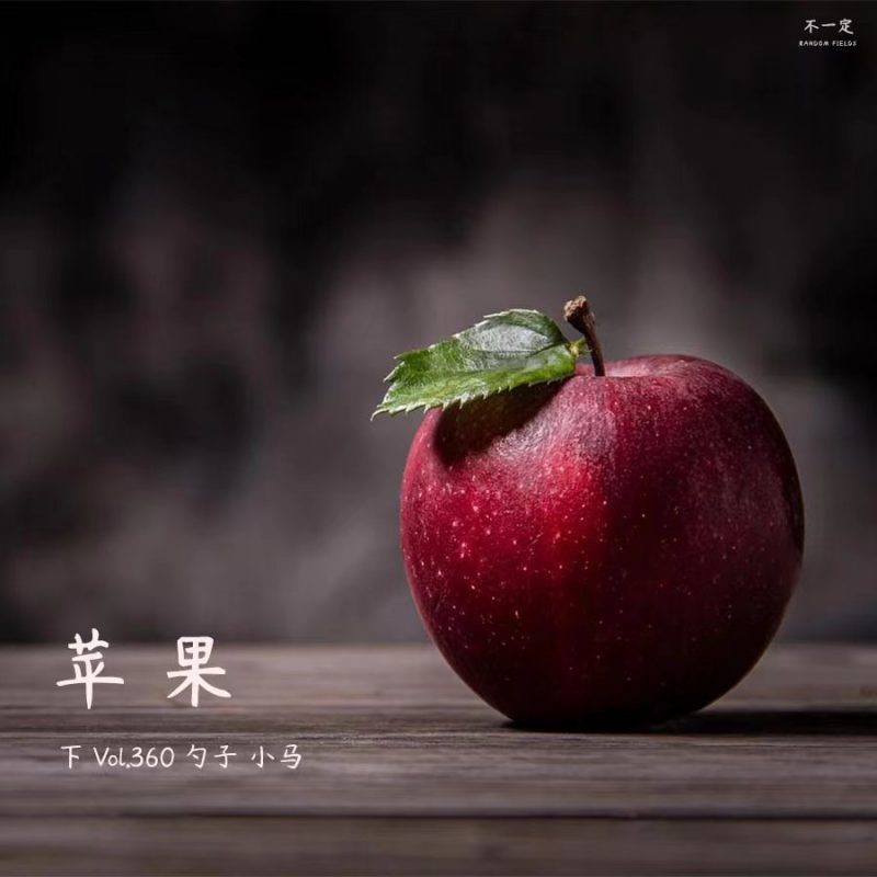 cover of episode Vol. 360 苹果（下）