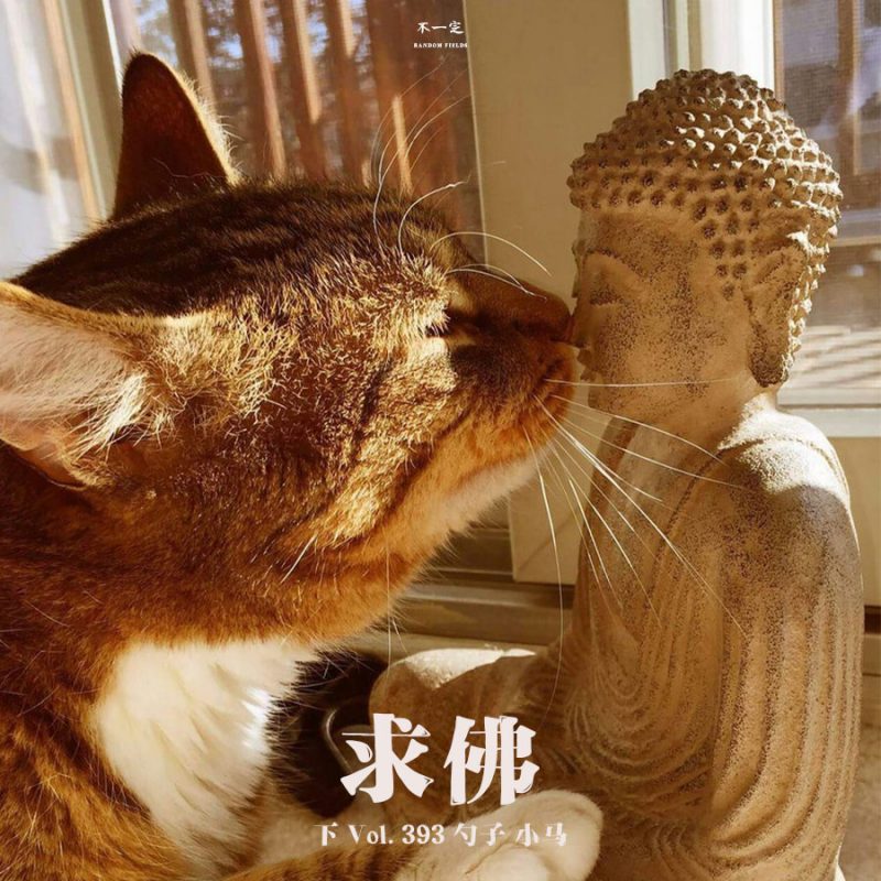 cover of episode Vol. 393 求佛（下）