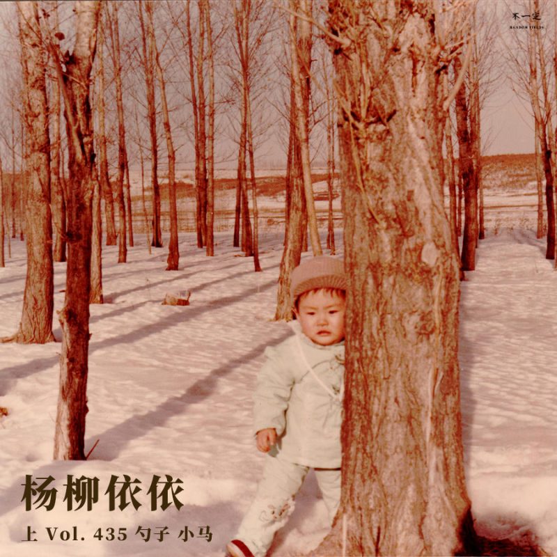 cover of episode Vol. 435 杨柳依依（上）